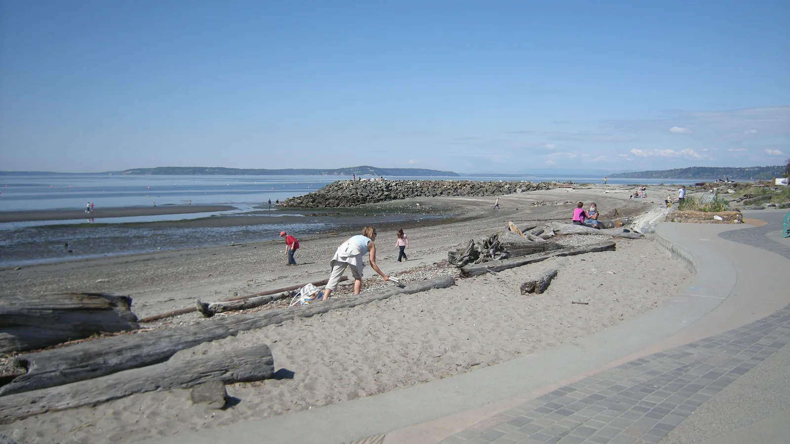The beach at Brackett's Landing in Edmonds, with driftwood, the ferry terminal, and mountains across the water.