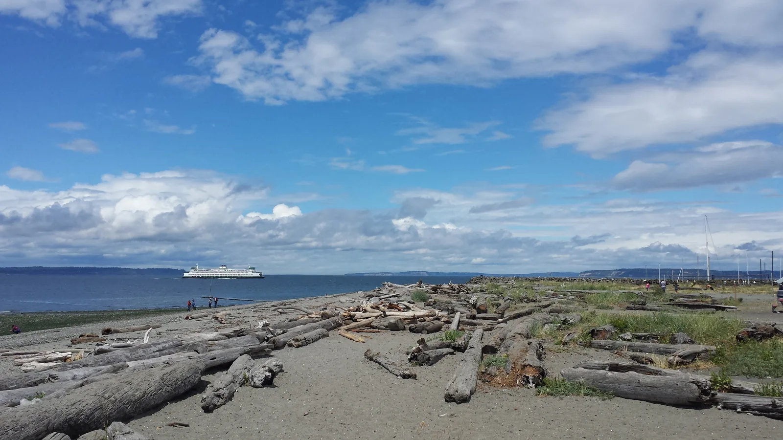 A Washington State ferry on the water, seen from the Edmonds beach, with driftwood in the foreground.