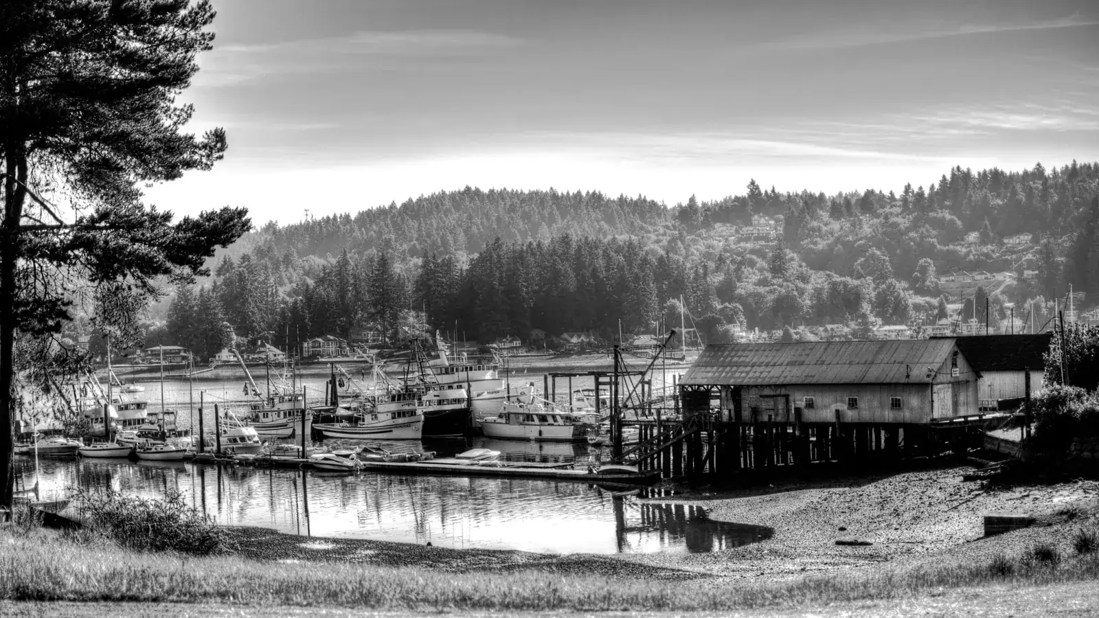 Gig Harbor's waterfront, with boats, netsheds, and houses along the shore.