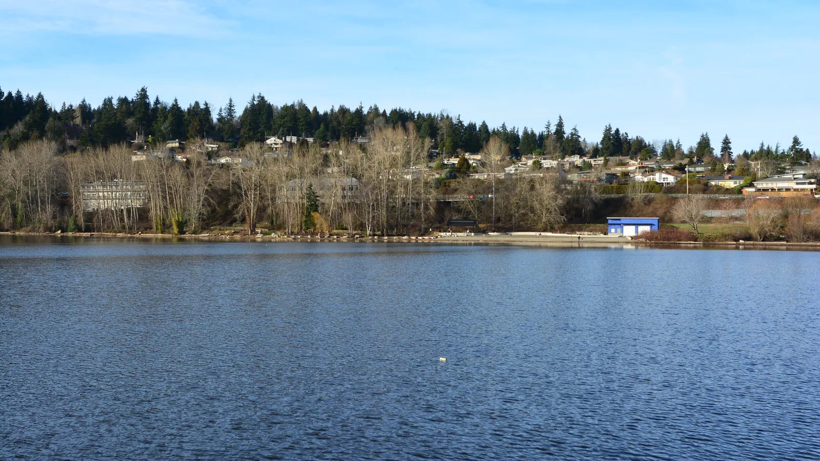 The pier at Log Boom Park in Kenmore, looking back toward the shore of Lake Washington.