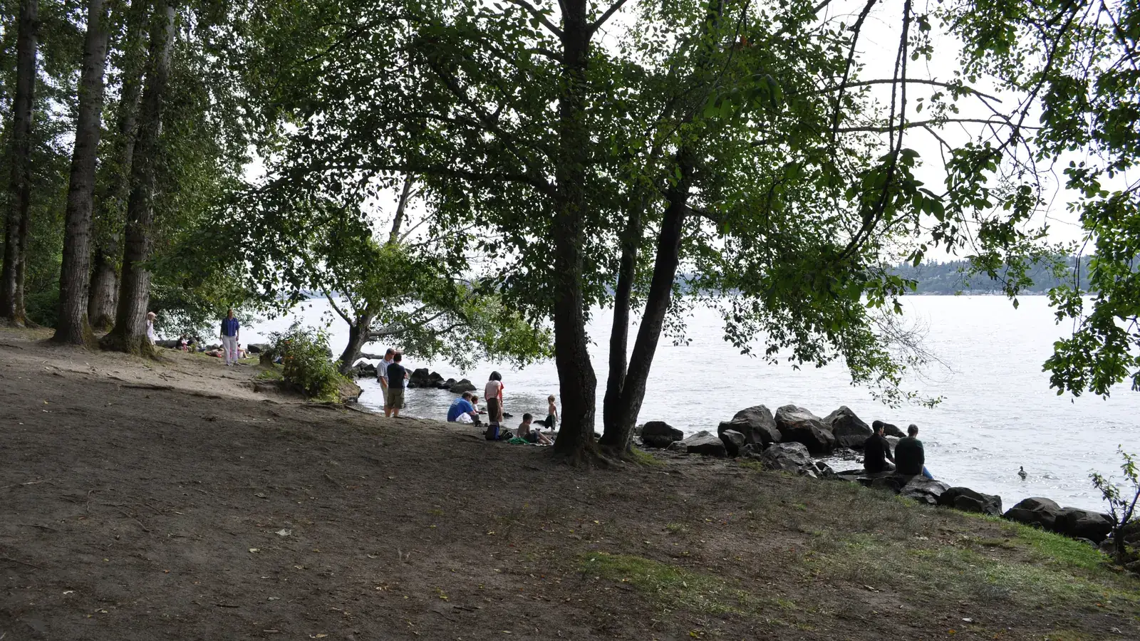 The beach at Saint Edward State Park in Kenmore, with driftwood along the water.
