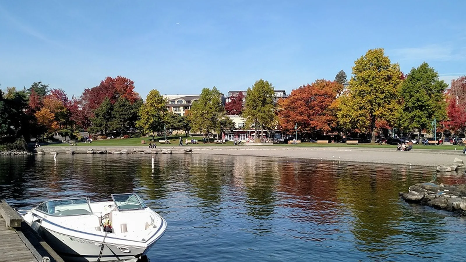 Marina Park in fall, with yellow and orange trees along the shore of Lake Washington and the Seattle skyline across the water.