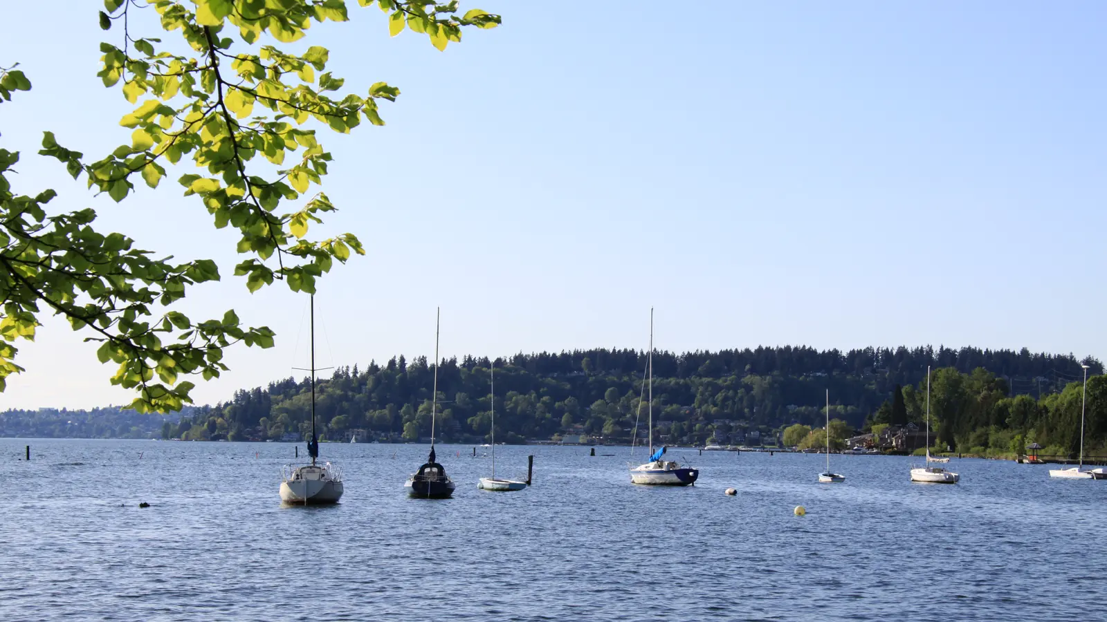The shore and lawn at Gene Coulon Memorial Beach Park in Renton.