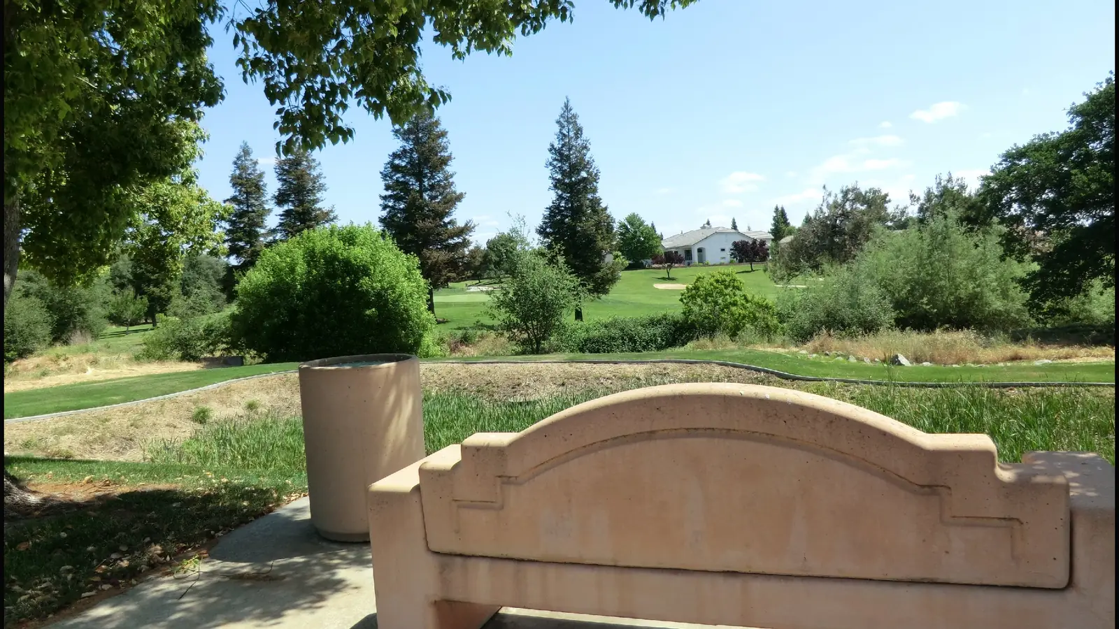 A wide Roseville street with a sidewalk, trees, and a golf course beyond the road.