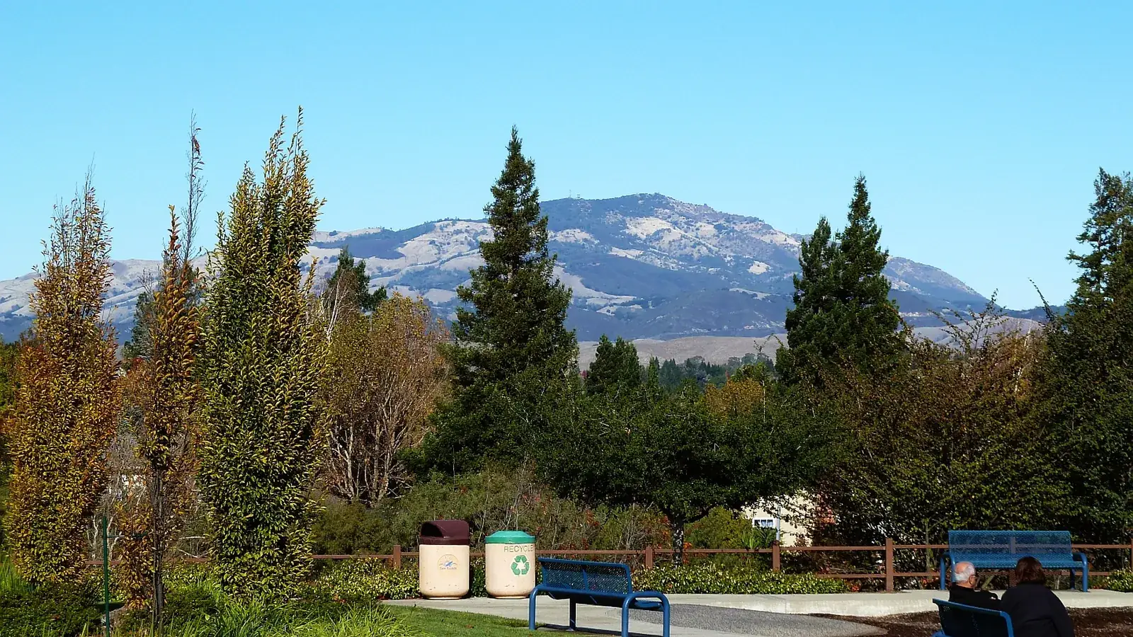 Mount Diablo seen across a field from San Ramon.